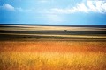 Grandes plaine du PN du Serengeti - Tanzanie 
 Grandes plaine du PN du Serengeti - Tanzanie  