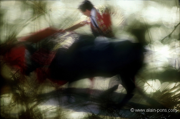 
 Corrida 
 course de taureaux 
 tauromachie 
 torador 
 torero 
 matador 
 passe de cape  © Alain Pons